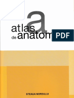 Atlas de Anatomie PDF