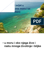 Zivi Svijet U Jadranskome Moru I Uz More