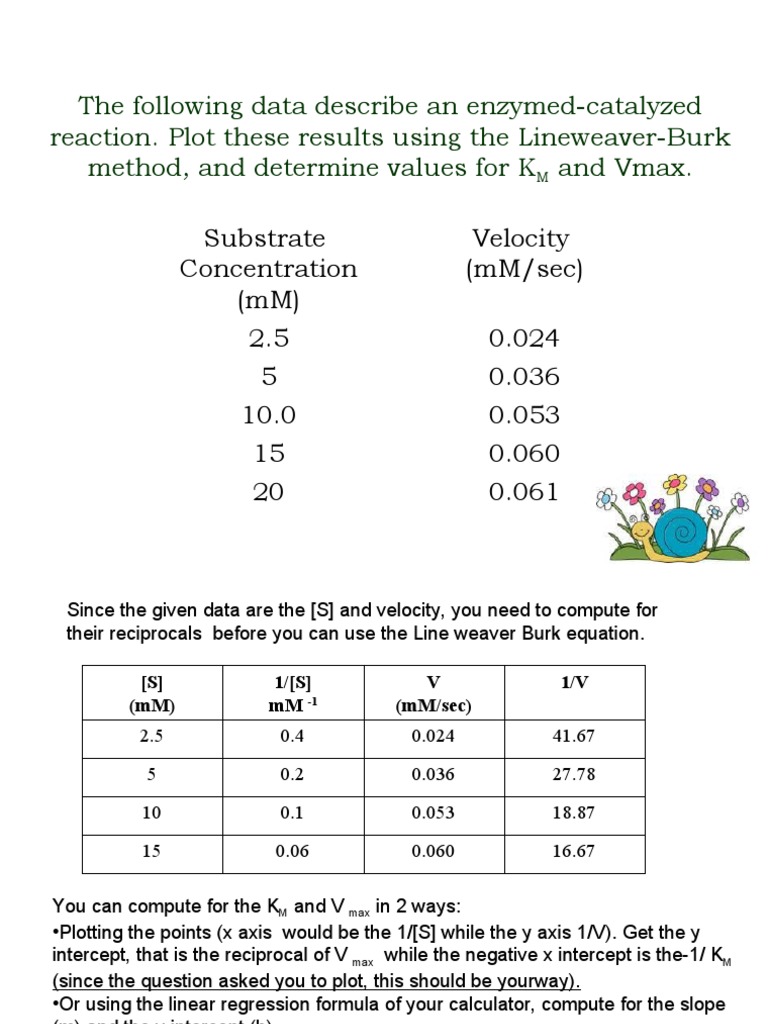ENZYMES Problems and Solutions PDF Enzyme Catalysts