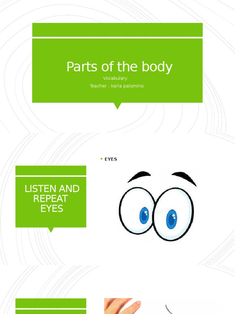 The Major External Parts of the Human Body A Concise Guide to Eyes