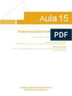 DNA da cebola: extração e caracterização