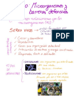 Guia Repaso Microorganismos 7mo Basico PDF