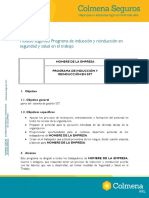 modelo_sugerido_programa_de_induccion.pdf