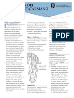fracures-5th-meta_sp.pdf