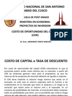 Universidad Nacional de San Antonio Abad Del Cusco: Maestria en Economia: Proyectos de Inversion