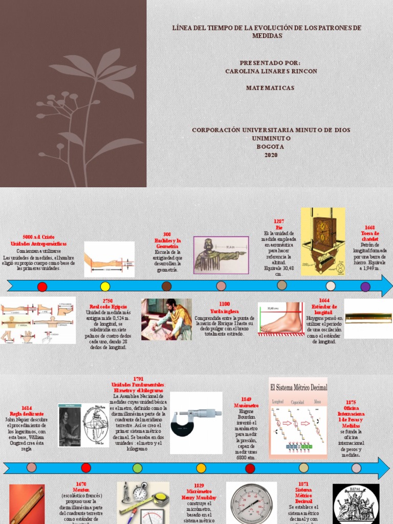 Línea Del Tiempo De La Evolución De Los Patrones De
