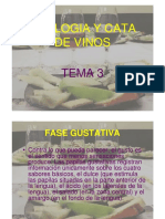 Enologia y Cata de Vinos 3