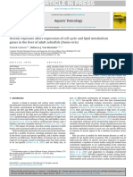 Arsenic Exposure Alters Expression of Cell Cycle and Lipid Metabolism Genes in The Liver of Adult Zebrafish (Danio Rerio)