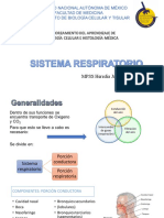 Sistema respiratorio: componentes y funciones de la porción conductora