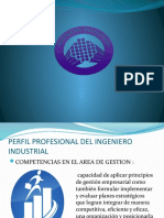 Perfil Profesional - Ing Industrial.