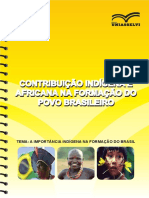 formacao_continuada_-_cont._in.pdf