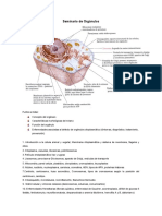 Seminario de Orgánulos