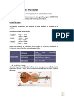 Los Instrumentos Musicales PDF