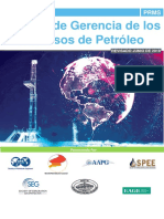 2018_sistema_de_gerencia_de_los_recursos_de_petroleo_-_traduccion_en_espanol_-_vf.pdf