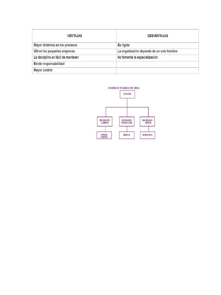 Desventajas X Ventajas Organizacion Lineal PDF