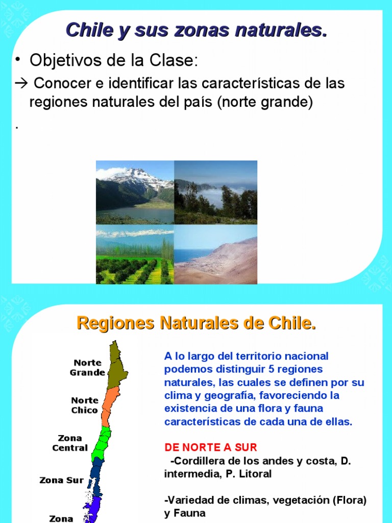 Características del Norte Grande de Chile | PDF | Ciencia y matemáticas ...