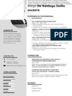 73 Curriculum Vitae Empresarial