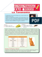 La Taxonomía para Sexto de Primaria