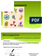 Clase 2 MICROORGANISMOS
