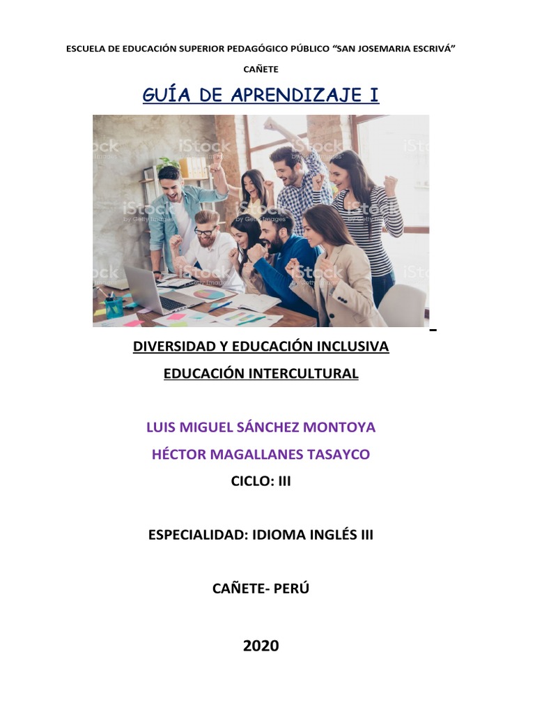 Diversidad y Educación Inclusiva en Cañete | PDF | Estilo apa | Información