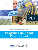 Guia Programa Salud Ocupacional.pdf