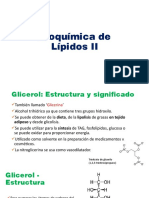 Lipidos ffrv2