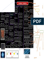 Doc11 PDF
