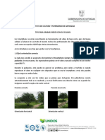 Tutorial para Grabar Con Celular PDF