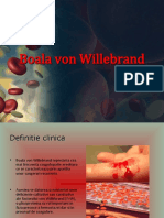 Boala-Von-Willebrand-II.ppt