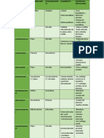 Resumen Articulaciones.docx