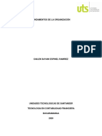 Activudad 3 - Fundamentos de La Organizacion PDF