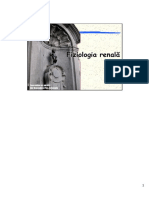 Renal-Functii Renale (Cu Note) PDF