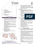 PHYS 2S14 Motor System