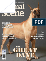 Animal Scene - January 2020 PDF