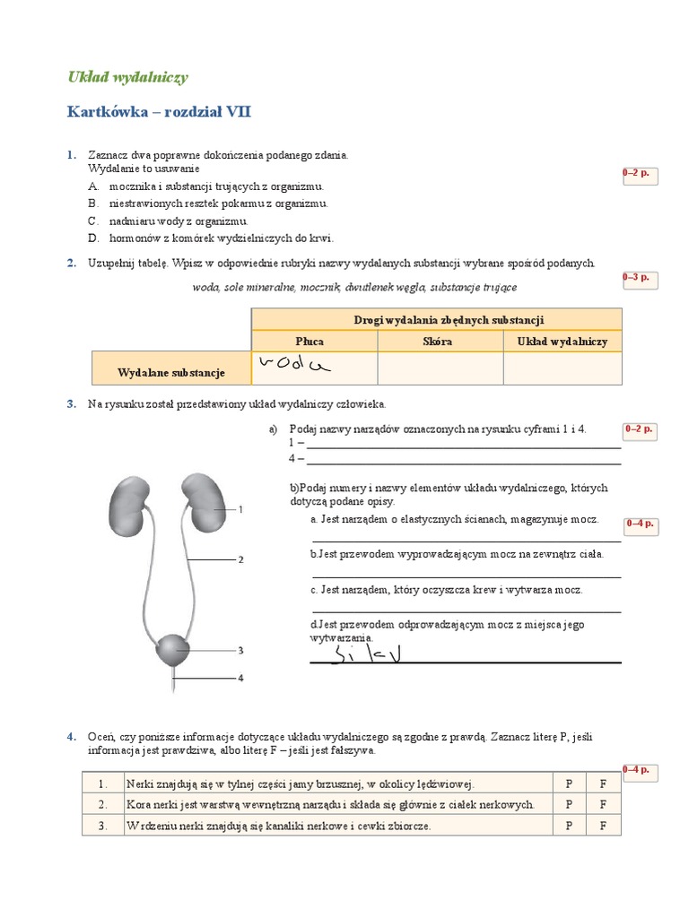 Układ Pokarmowy Sprawdzian Klasa 7 Pdf