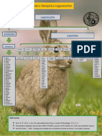 Cuadro Sinoptico Lagomorfos PDF