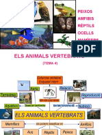 Els Vertebrats. Característiques I Classificació PDF
