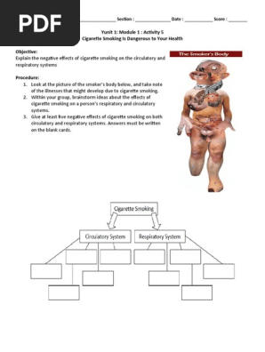 cigarette smoking circulatory system Impact of on cardiovascular health: Mechanisms, epidemiology and specific concerns regarding congenital heart disease Poster on health effects of