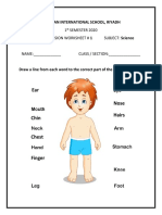 Science Grade 1 Worksheets and Assessments PDF