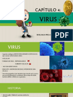 Capítulo 4 - Virus 4to y 5to