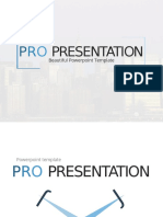 Pro Presentation 1 4-3