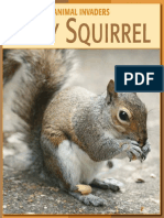 (21st Century Skills Library_ Animal Invaders) Barbara A. Somervill - Gray Squirrel-Cherry Lake Publishing (2008).pdf