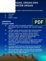 Jaringan, Organ Dan Sistem Organ