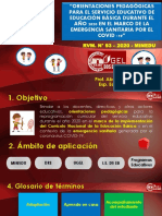 PPT - ORIENTACIONES EDAGOGICAS 2020  POR EMERGENCIA - RVM N° 093-2020 -MINEDU.