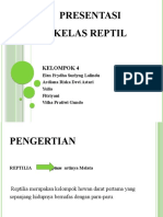 Reptil KLP 4