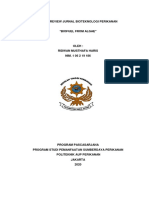 Tugas Review Jurnal Ridwan PDF