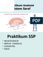 Praktikum SSP.pptx