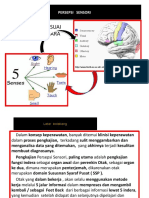 Konsep Persepsi Sensori