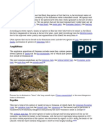FaunaRomaniei2 PDF