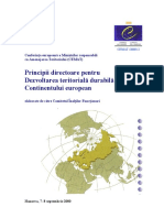 Principii_Directoare.pdf